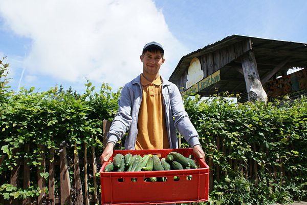 bauer-lange-insel-ruegen-landwirtschaft