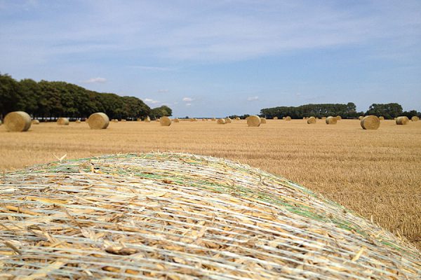 bauer-lange-ruegen-landwirtschaft