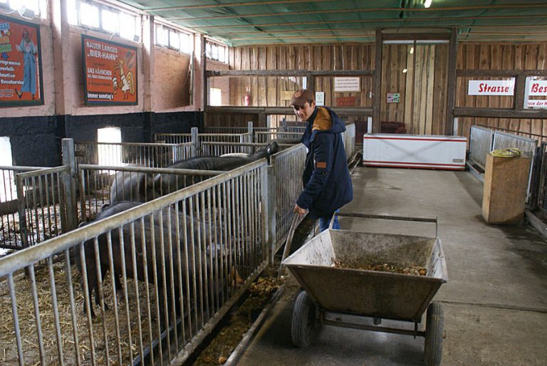 insel-ruegen-landwirtschaft-bauer-lange | Bauer Lange Rügen